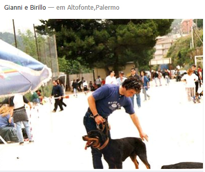 adestramento exposi&ccedil;&atilde;o